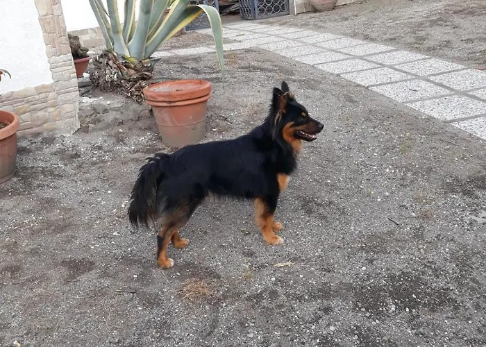 Villateresa 4* Boscotrecase